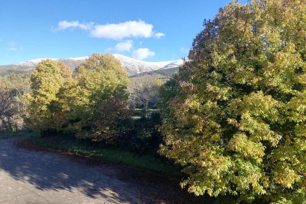 Apto. Rural Las Candelas. La Covatilla Διαμέρισμα Candelario Εξωτερικό φωτογραφία